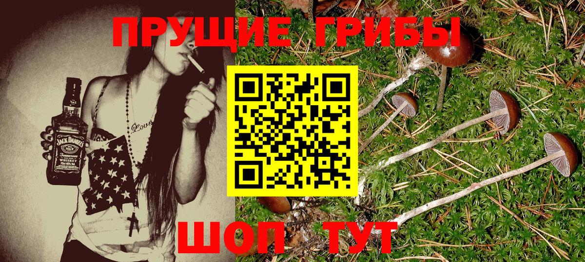 Галлюциногенные грибы GOLDEN TEACHER  Вход с VPN  Новороссийск 