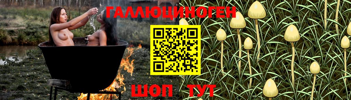 Галлюциногенные грибы мухоморы Новороссийск